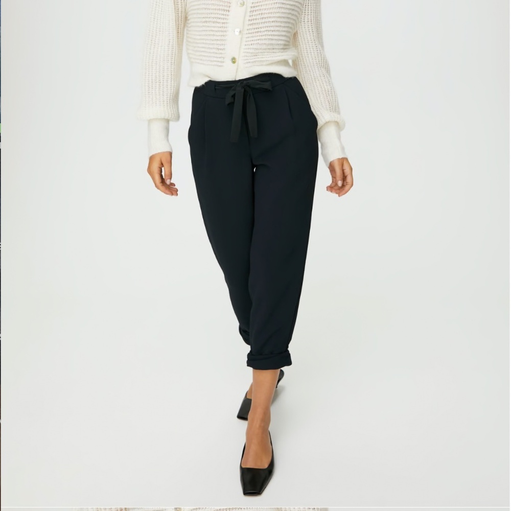 Aritzia Allant Pant